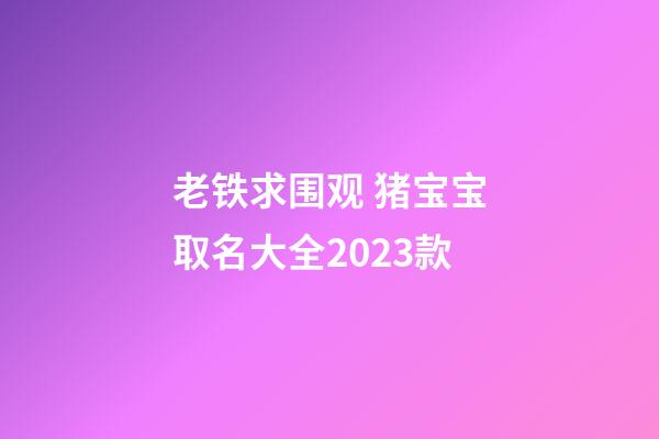 老铁求围观 猪宝宝取名大全2023款